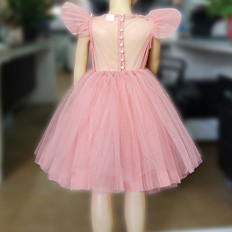 Mesh Tulle Princess Dress for Girls 1Y-10Y